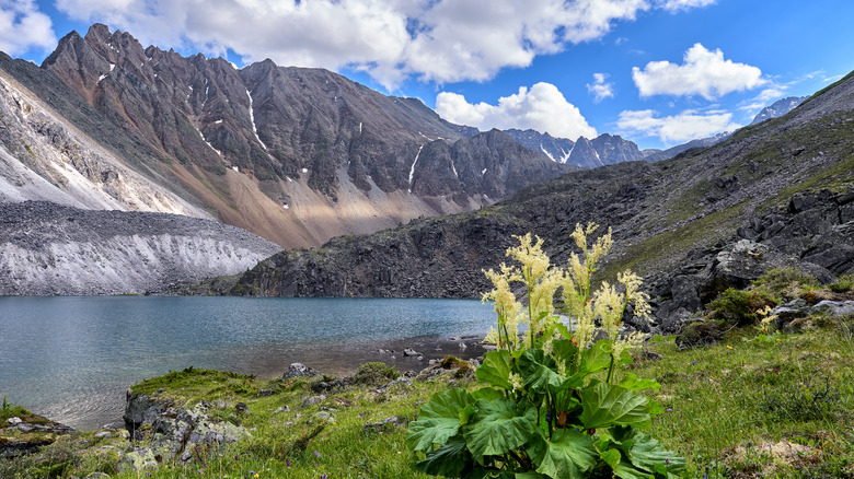 Sayan Mountains in Siberia