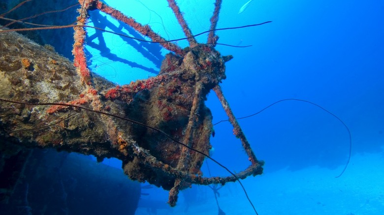 Haunting Shipwrecks Around The World