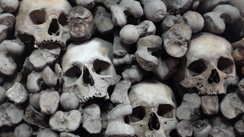 Skulls in bone wall