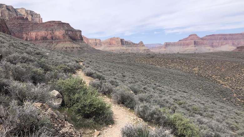 The Tonto Trail in the Grand Canyon