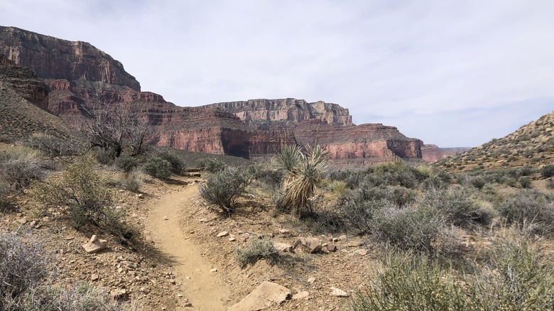 the Tonto Trail in the Grand Canyon