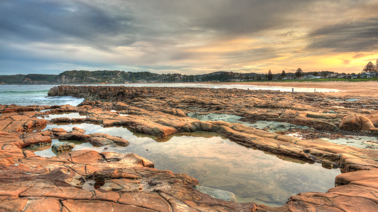 Avoca Beach, New South Wales, Australia