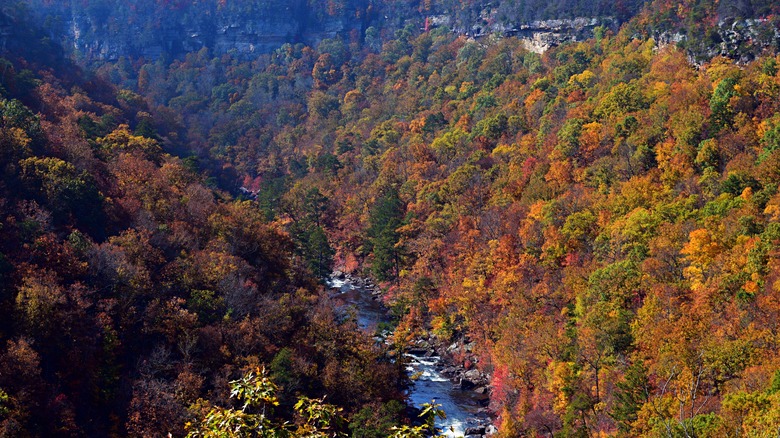 Aerial view of Little River Canyon National Preserve in the fall