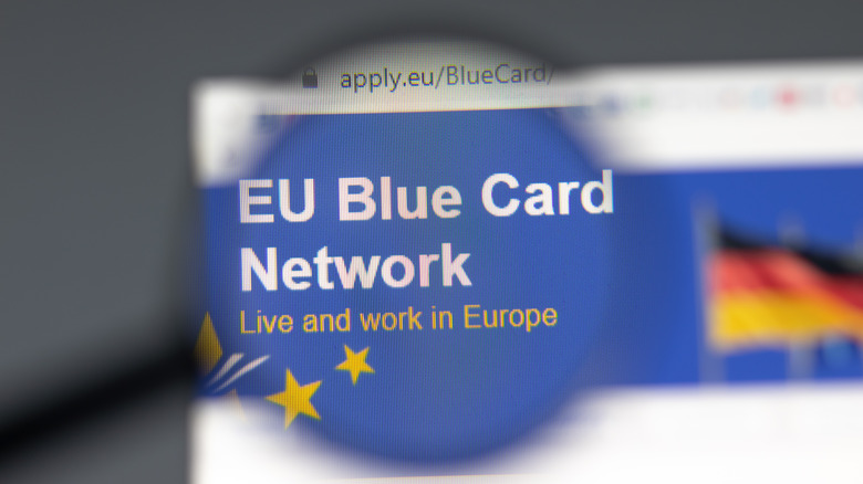 eu blue card network website