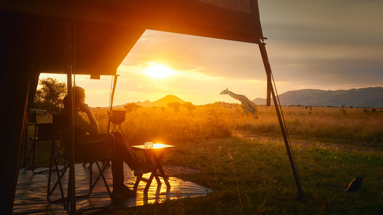 Luxury tent safari with giraffe