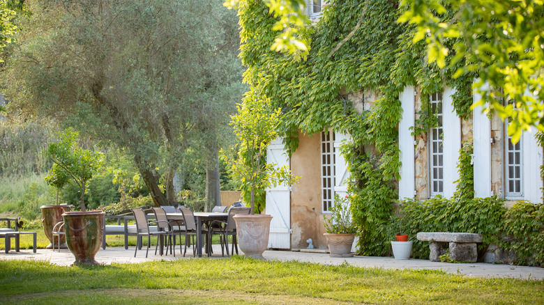 European villa with garden