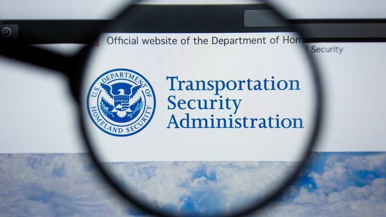 Close-up of TSA website logo