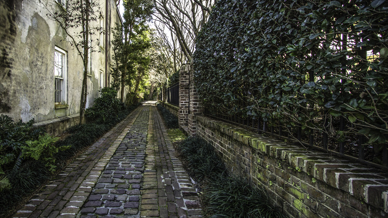 An alleyway in Charleston