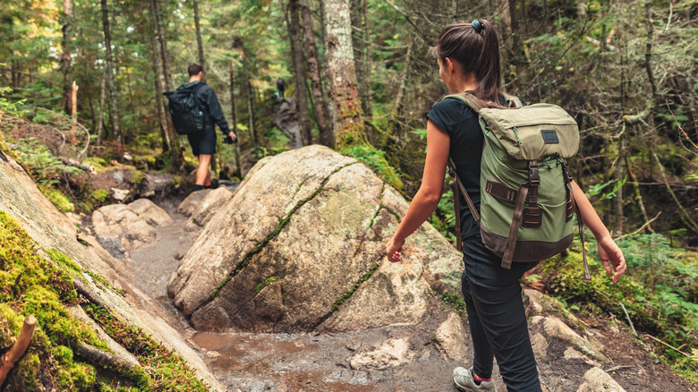 Hikers carrying backpacks on trek