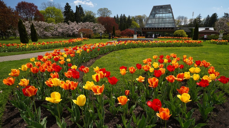 Spring blooms at the Niagara Parks Botanical Gardens