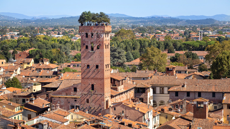 guinigi tower in lucca italy