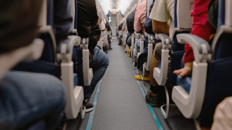 passengers in plane cabin