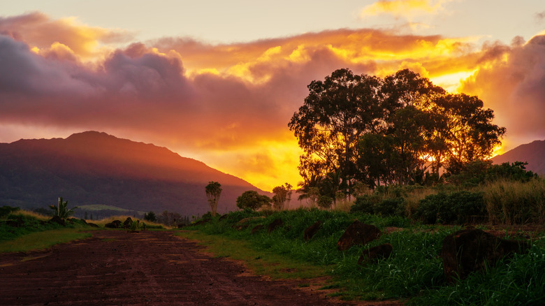 The sun setting over the Kukaniloko Birthstones on Oahu, Hawaii