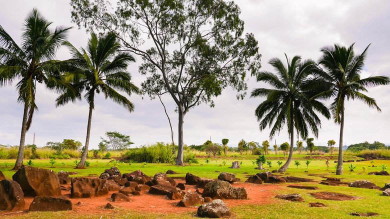 The ancient Kukaniloko Birthstones on the island of Oahu, Hawaii