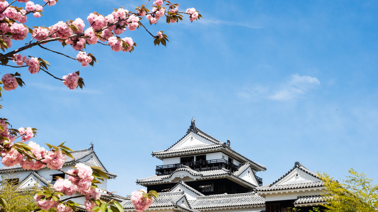 Matsuyama Castle