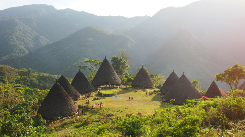 Wae Rebo settlement on Flores