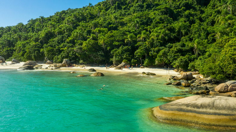 Beach at Ilha do Campeche