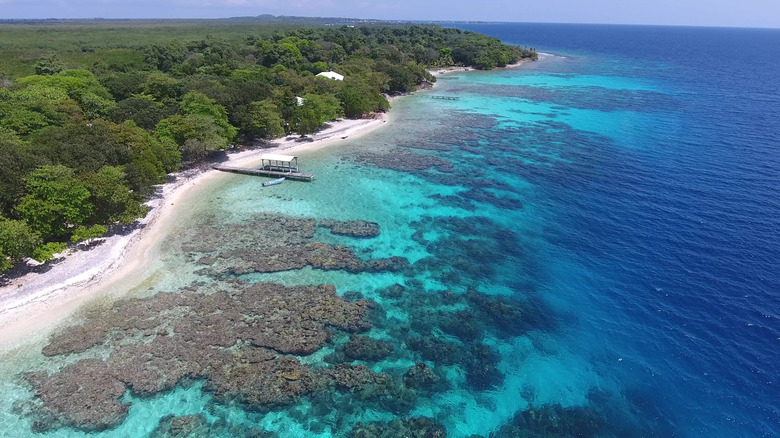 The reefs of Utila