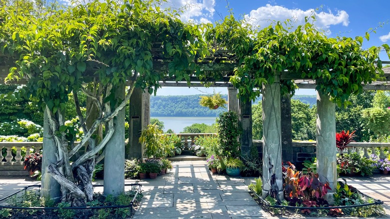 Pergola overlook at Wave Hill