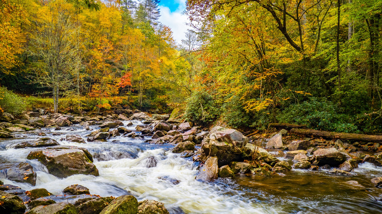 river scene with fall foliage near Franklin North Carolina