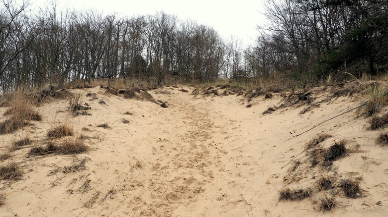 Saugatuck Dunes State Park