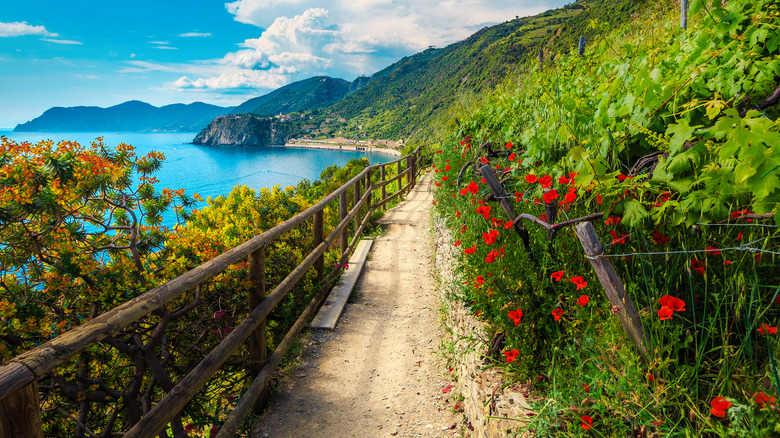 Cinque terre hiking trail 