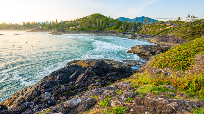 cliff view of vancouver island
