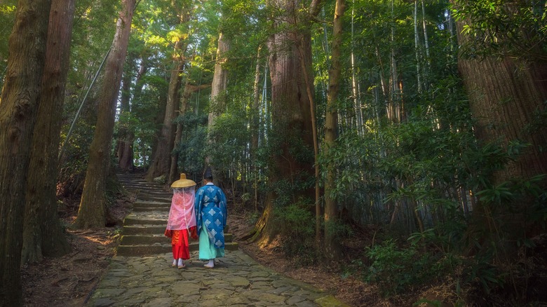 Rainforest Trail Run reconnects Indigenous communities to the