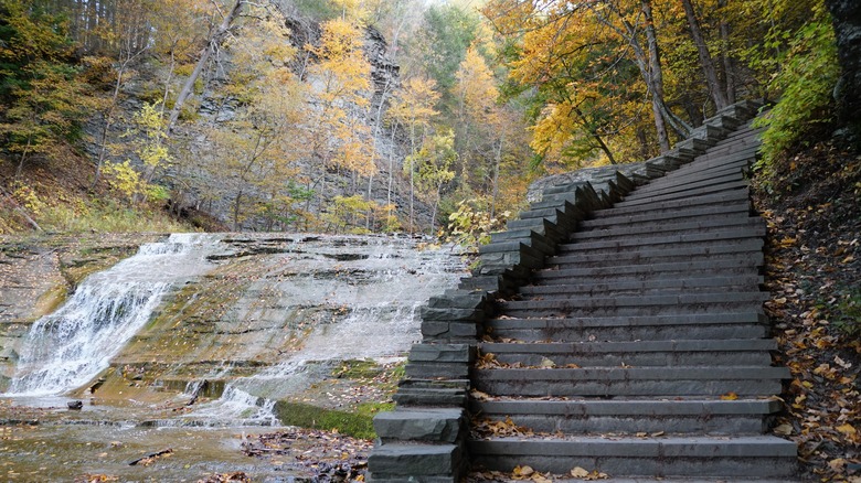 Steps to Buttermilk Falls