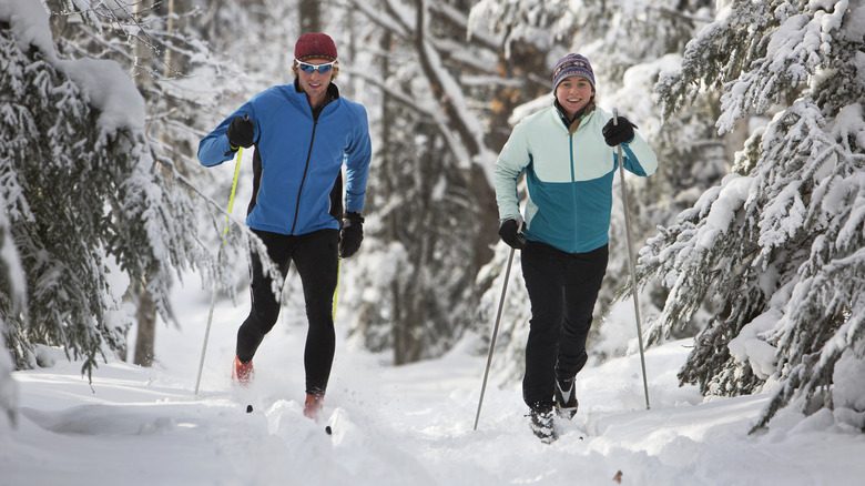 two people cross country skiing