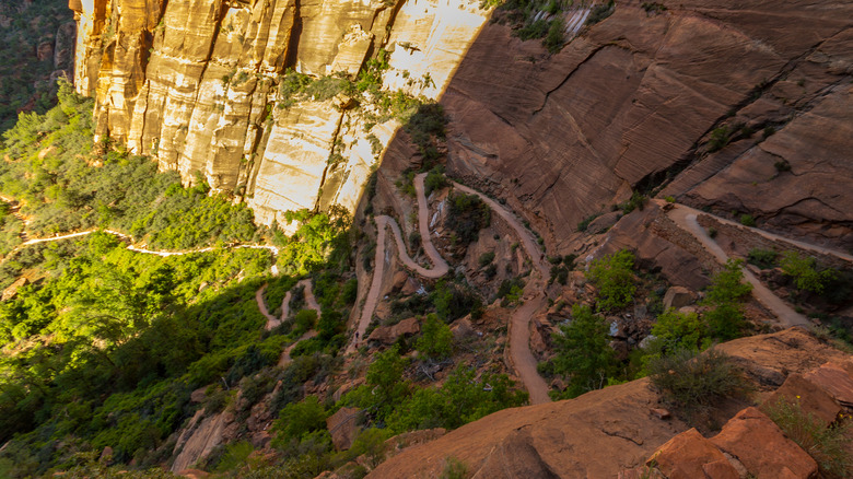 switchbacks on Angels Landing trail