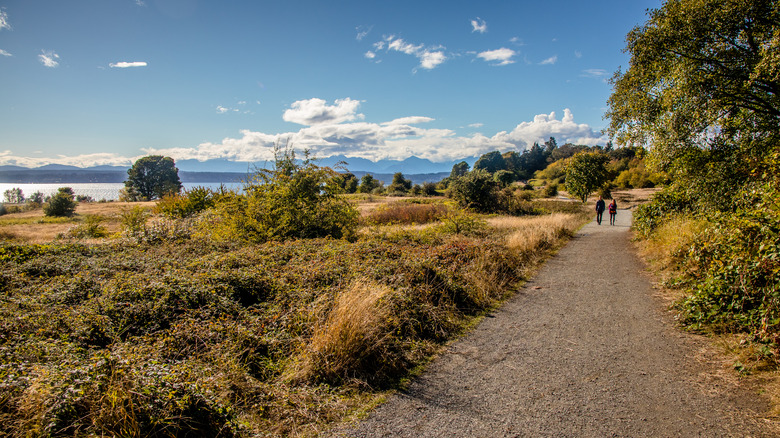 Coastal trail at Discovery Park