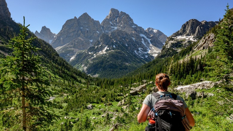 Female hiker walking towards mountains