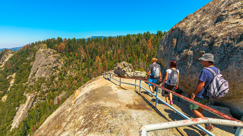 Hikers on the trail at Moro Rock