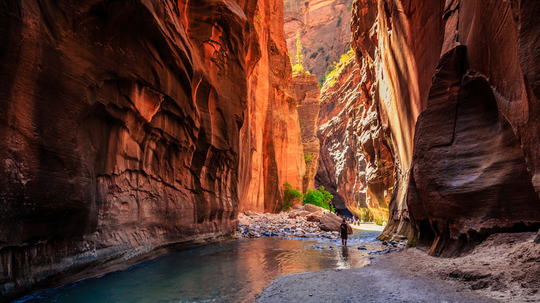 red rock walls in zion