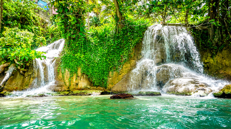 Dunn's River Falls, Jamaica