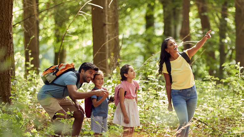 family spotting animals in forest