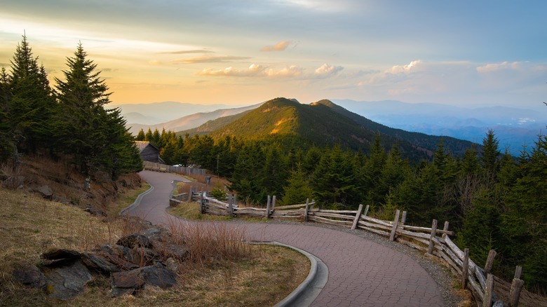 Summit Trail on Mount Mitchell