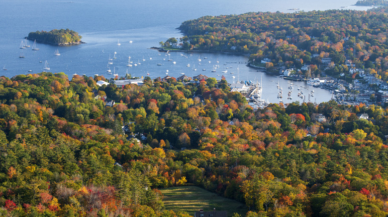 View of the harbor from Camden Hills State Park, Maine
