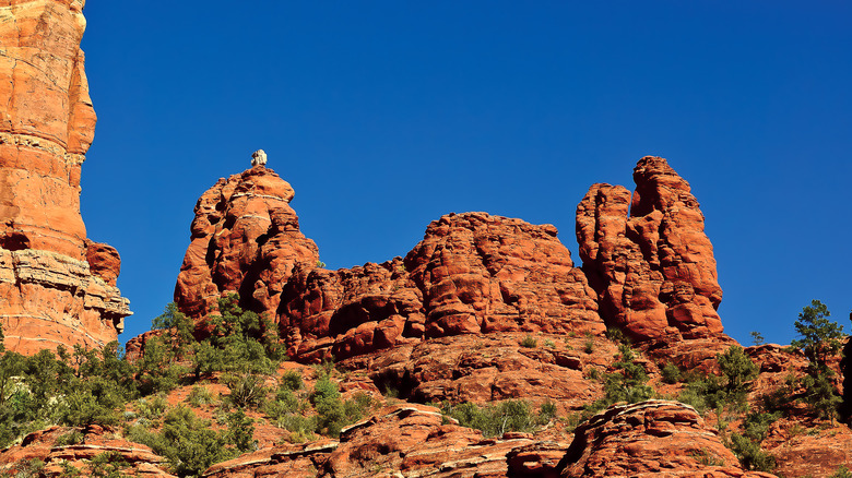 Snoopy Rock in Sedona, Arizona