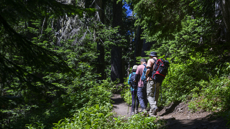 People hiking the Summit Lake Trail