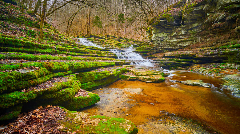 View of Raven Run Creek