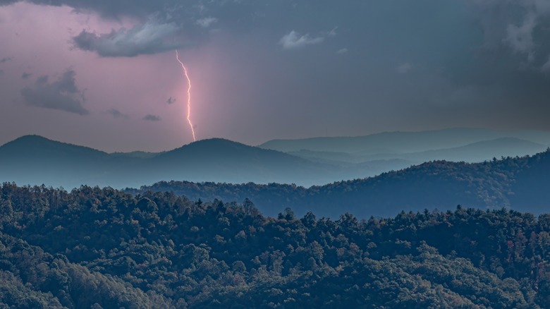 mountains forest storm lightning