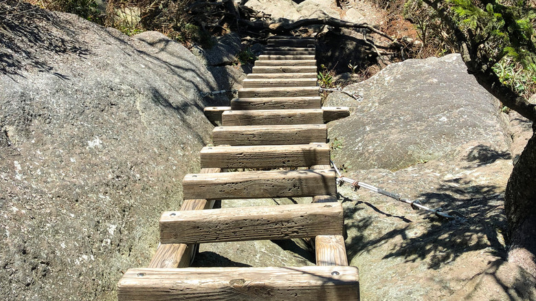 ladder cliff hiking trail