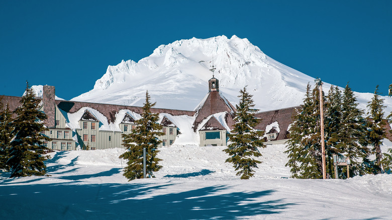 Timberline lodge in the snow