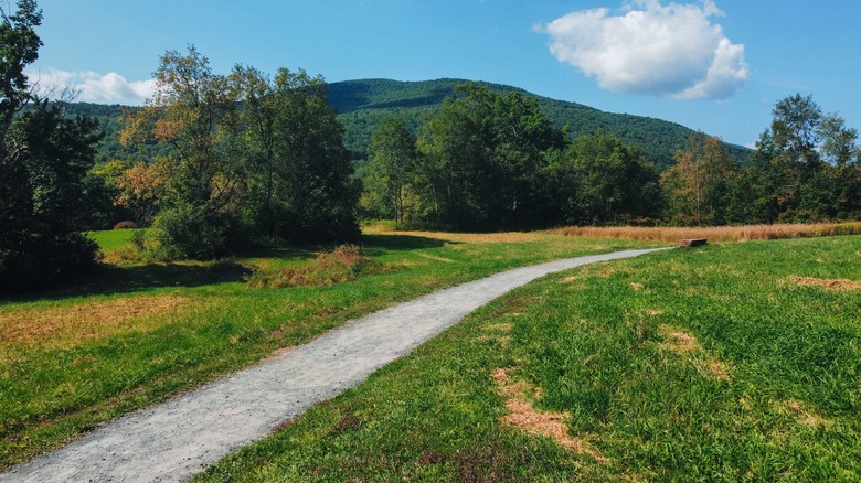 Hiking trail crosses turf in Catskill Mountains