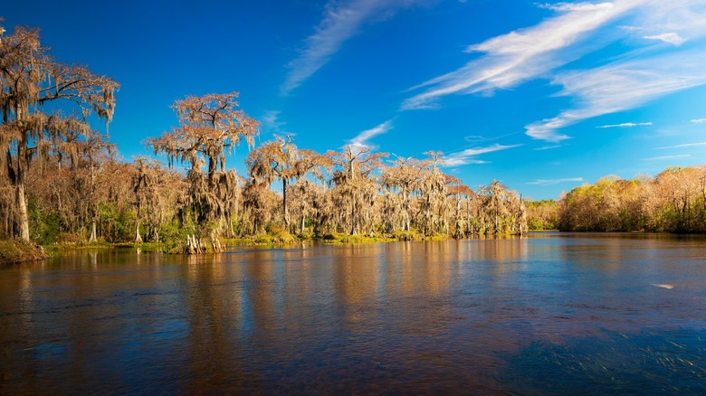 Edward Ball Wakulla Springs 