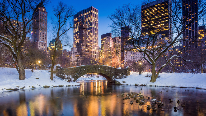 Central Park in winter