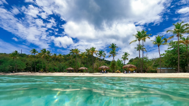 A beach on St. Thomas