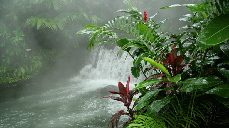 Arenal Hot Springs landscape